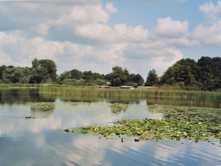 Der Rosensee